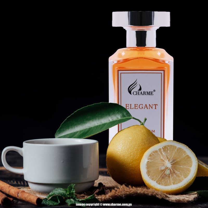 Nước Hoa Nam Charme Elegant 100ml