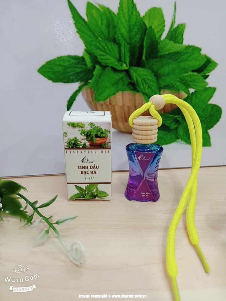 Tinh Dầu Thiên Nhiên Charme Hương Bạc Hà